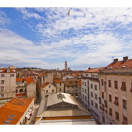 Marmont 스플리트